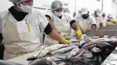 Trabajadores de plantas pesqueras de Deseado iniciaron medida de fuerza