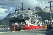 Buque Echizen Maru ingresó al puerto de Ushuaia con mil toneladas de calamar 